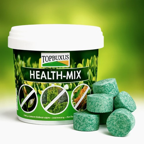 Topbuxus health mix - health, box