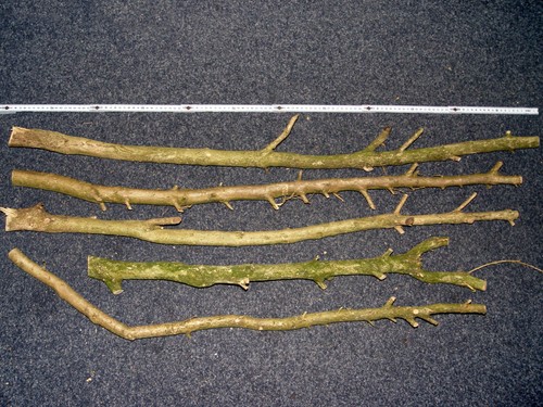 Bündel drechselholz - bündel,