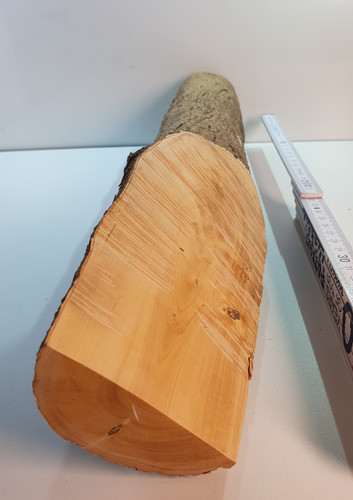 Stamm drechselholz buchsbaum - 1,
