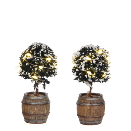 Luville 1025899 buxus - luville-1025899,,