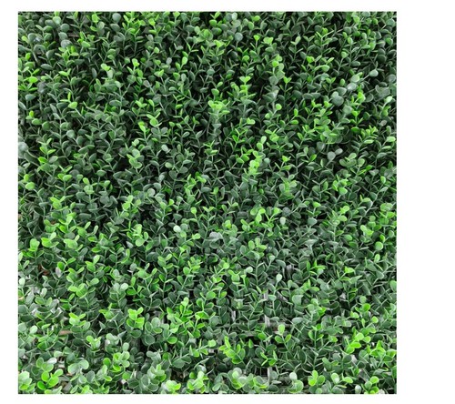 Panel buxus intense 5x1 m - panel,