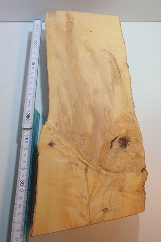Halb stamm drechselholz - halb,