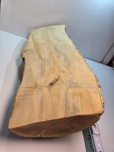Halb stamm drechselholz - 1,
